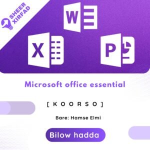 Microsoft Office Essentials Course